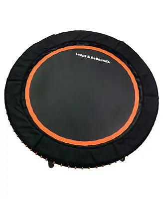Budget Leaps and Rebounds Fitness Trampoline, 40-inch or 48-inch |Adults and Kids Rebounder for Indoor and Outdoor, Up to 270 lbs | Lifetime Warranty | Low Impact Cardio and Easy Home Workout