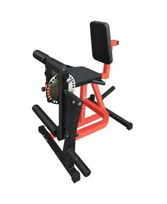 Streamdale Adjustable Leg Extension/Curl Machine Home Gym Weight Machine Crafted