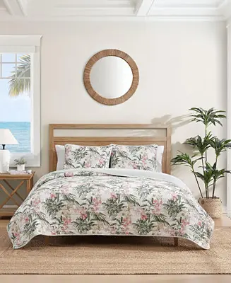 Tommy Bahama Island Orchid Cotton Reversible 3-Pc. Quilt Set, Full/Queen One Day Deal