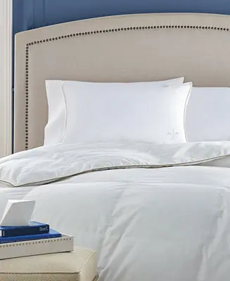 Fan Favorite Down Halo Pillow, King