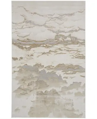 Aura 3727F 3'11"x6' Area Rug Free Returns