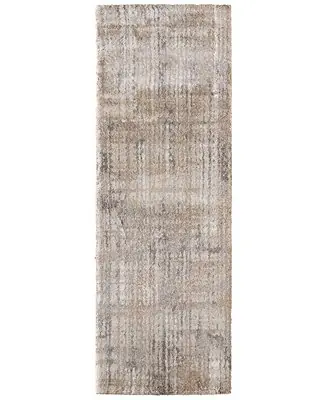 Skyview 39QBF 2'6"x7'3" Runner Area Rug Express Delivery
