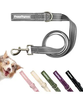 Grab Now Reflective Leash