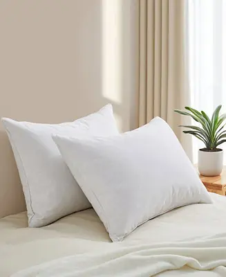 100% Cotton Goose Down and Feather 2-Pack Pillow, Standard Last Chance