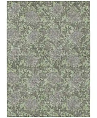 Chantille Machine Washable ACN677 5'x7'6" Area Rug Popular