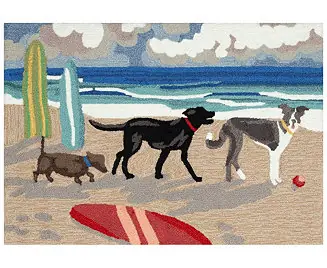 Special Offer Frontporch Dog Beach 2'x3' Area Rug
