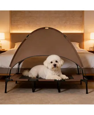 Elevated Portable Dog Cot with Pad and legs in Coffee Time-Limited