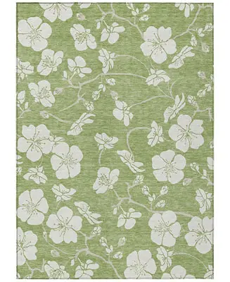 Exclusive Chantille Machine Washable ACN1032 5'x7'6" Area Rug