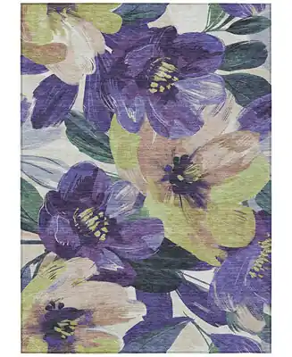 Fan Favorite Chantille Machine Washable ACN1490 5'x7'6" Area Rug