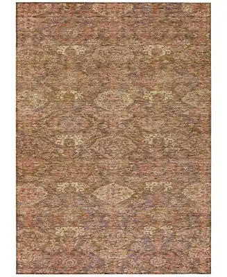 Exclusive Chantille Machine Washable ACN1084 5'x7'6" Area Rug