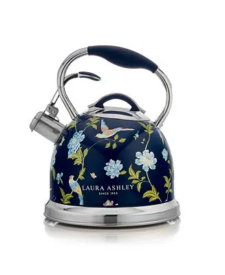 10-Cup Navy Stove Top Kettle Today Only