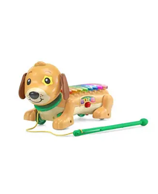 Zoo Jamz Doggy Xylophone New Arrival