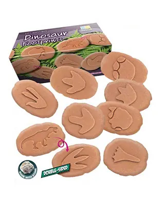 Let's Investigate Dinosaur Footprints, Set of 8 Best Seller