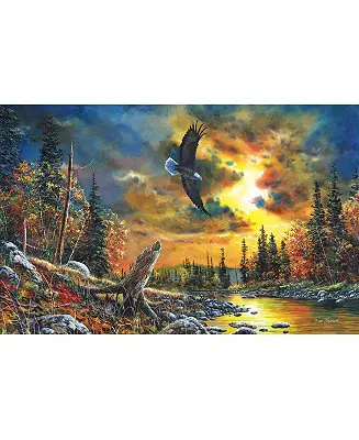 Order Now Sky Watcher 1000 piece Jigsaw Puzzle for Adults