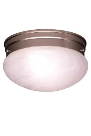 Ceiling Space 2 Light 9 inch Brushed Nickel Flush Mount Light Ceiling Light New Arrival