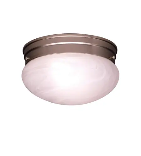 Ceiling Space 2 Light 9 inch Brushed Nickel Flush Mount Light Ceiling Light New Arrival