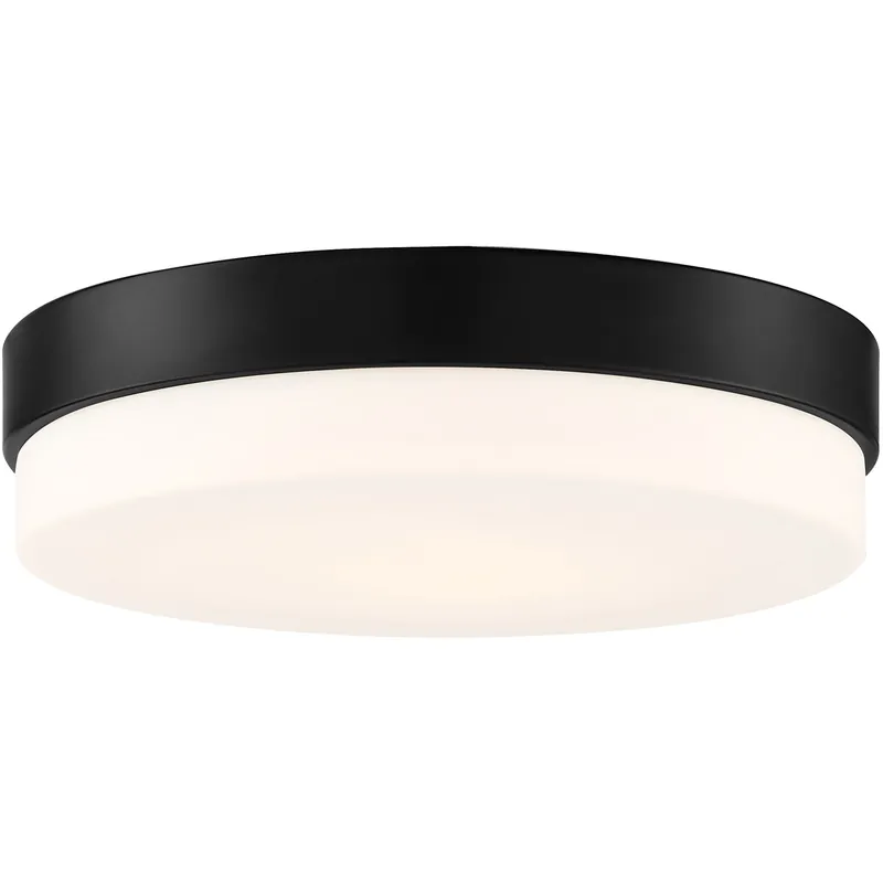 No Minimum Order Roma LED 11 inch Matte Black Flush Mount Ceiling Light