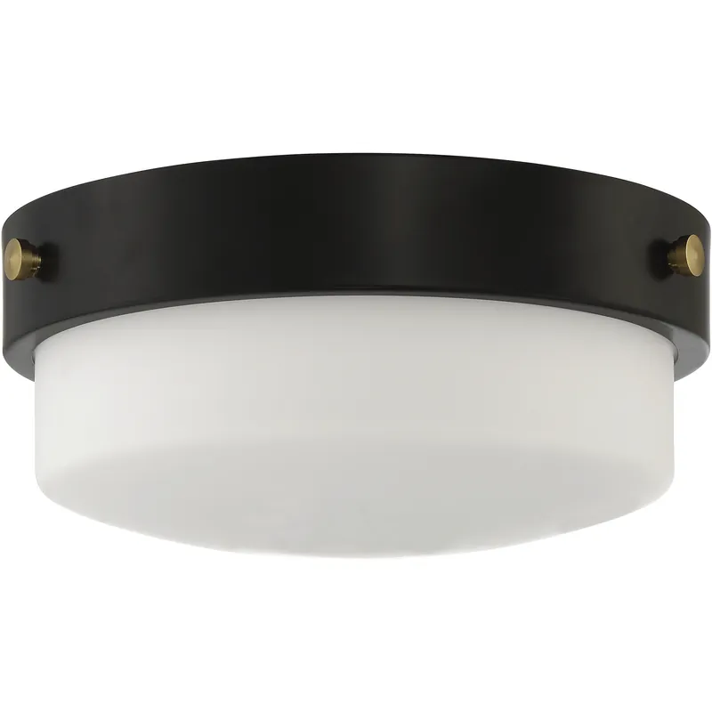 Oak Street 2 Light 11 inch Flat Black Flushmount Ceiling Light Buy Direct