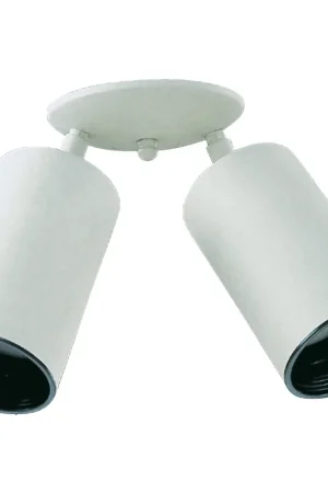 Big Sale Bullet 2 Light 6 inch White Flush Mount Ceiling Light