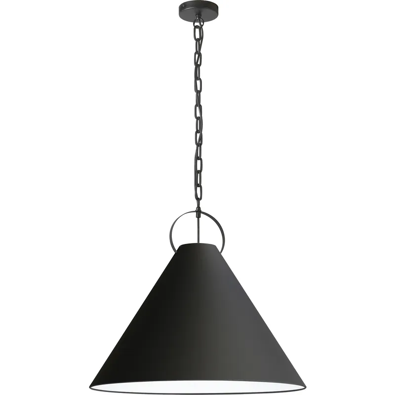 Princeton 1 Light 24 inch Matte Black Pendant Ceiling Light Warranty Included