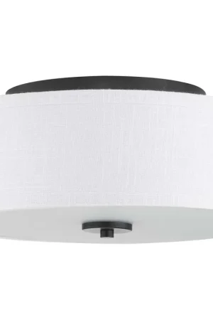 Briscoe 2 Light 13 inch Graphite Flush Mount Ceiling Light Place Order