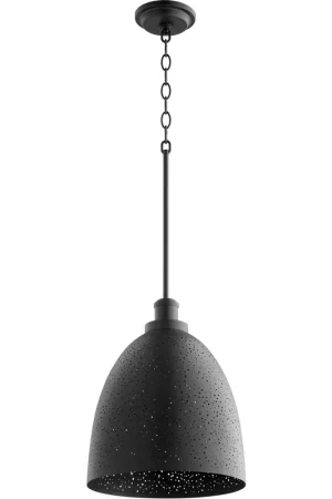 Budget Stary Night 1 Light 12 inch Noir Pendant Ceiling Light