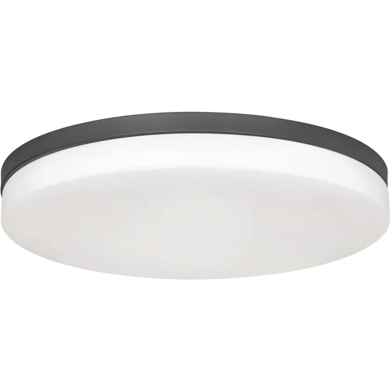 Oscar LED 19 inch Black Flush Mount Ceiling Light One Day Deal