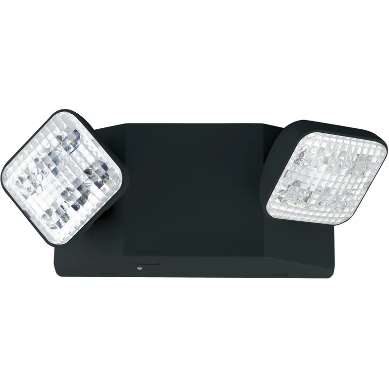 Instant Buy Aaliyah 1 Light Black Exit / Emergency Ceiling Light