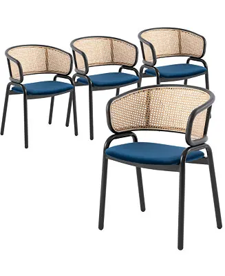 Dining Chair With Stainless Steel Legs Velvet Seat and Wicker Back Handmade