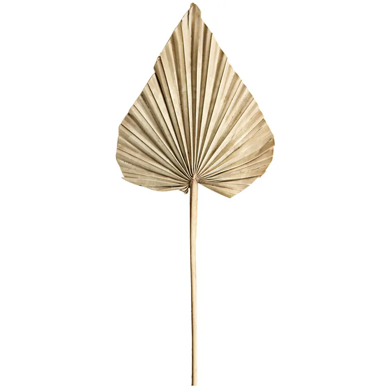 Kalalou 30" Large Dried Natural Palm Spear - 12/Pack Hassle-Free Returns